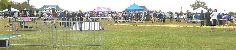 O'Connell cross country 2